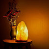 Pink Himalayan Salt Lamp