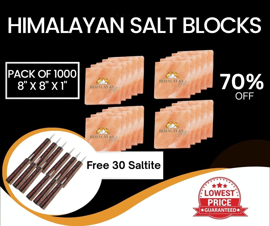 HST Himalayan Salt Blocks 8" x 8" x 1"