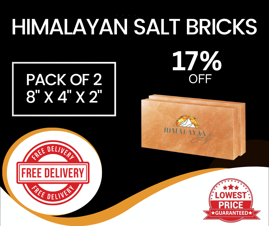 Himalayan Salt Bricks
