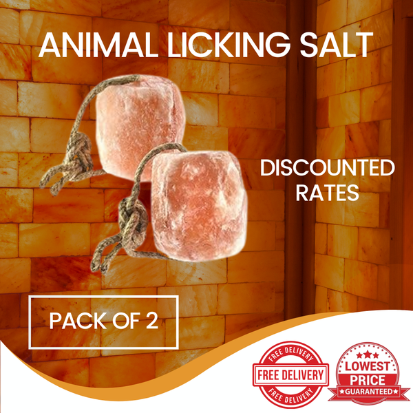 Best Himalayan Animal Licking Salt Pack of 2