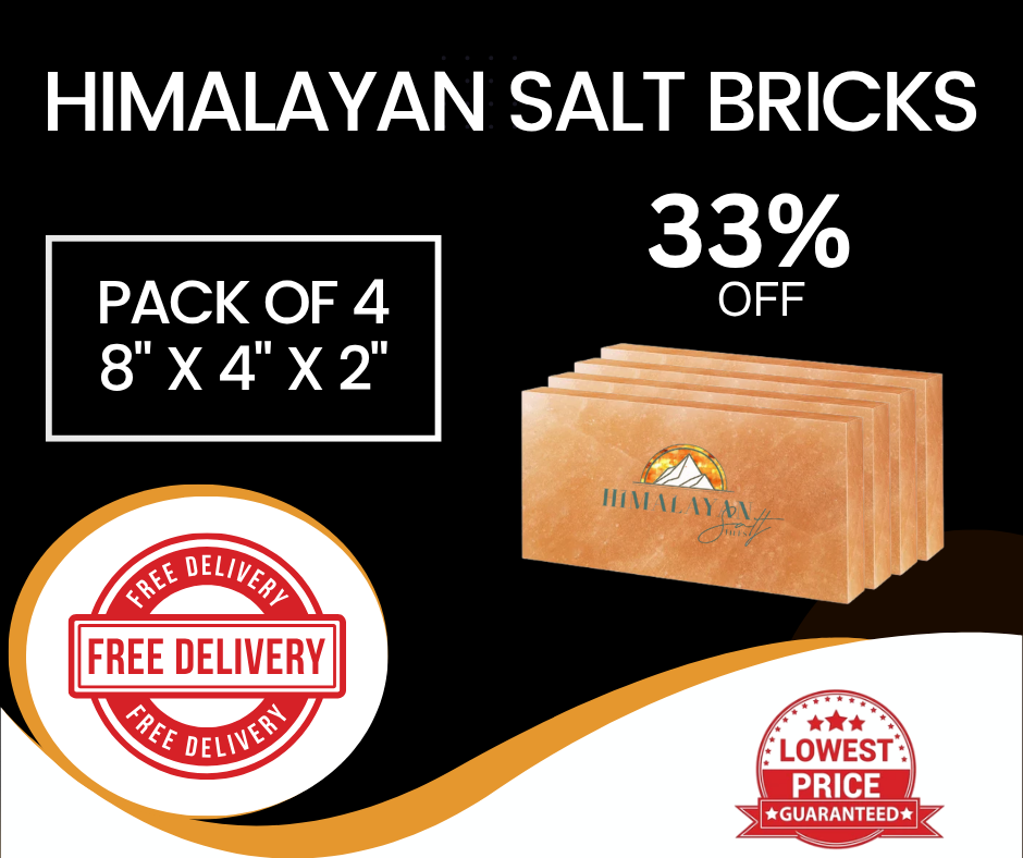 Himalayan Salt Bricks