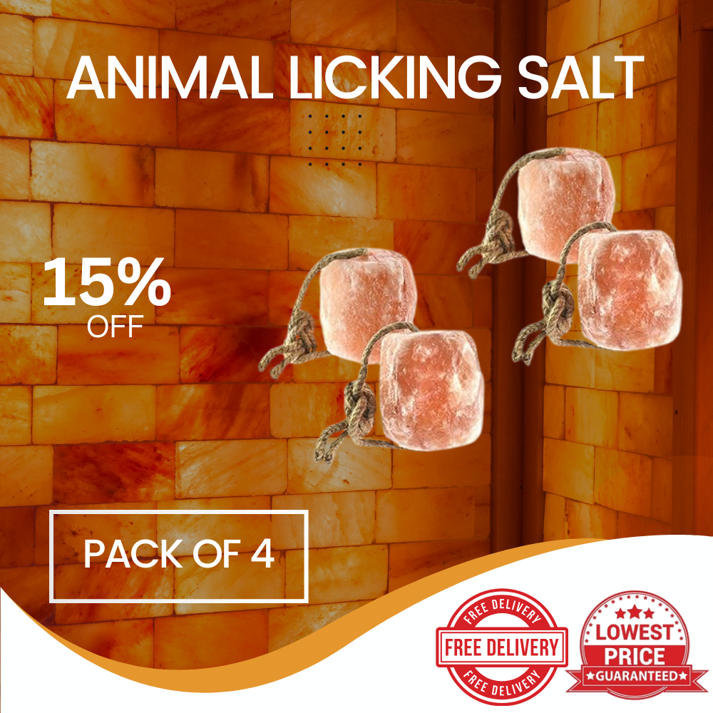 Best Himalayan Animal Licking Salt