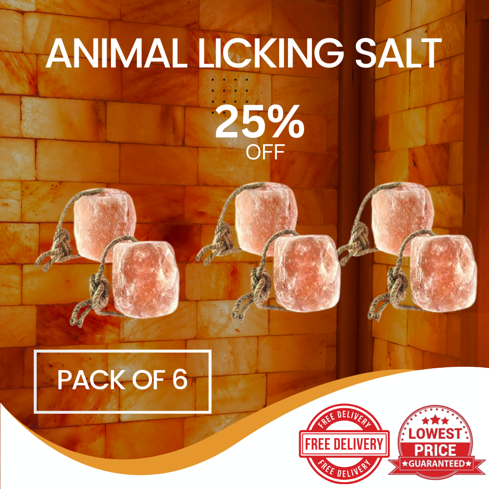 Best Himalayan Animal Licking Salt