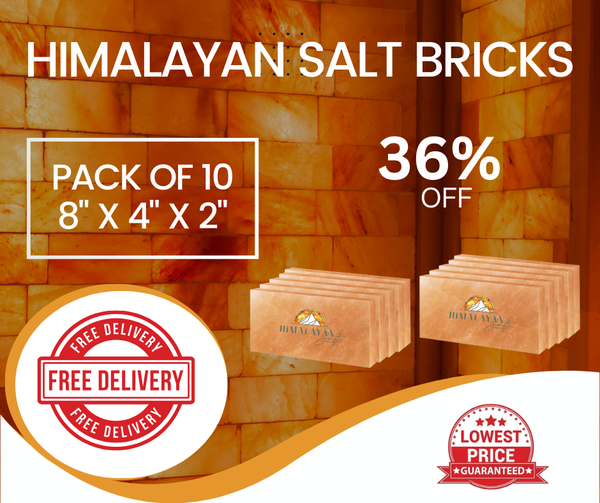 Himalayan Salt Bricks 8”x4”X2 - Pack of 10