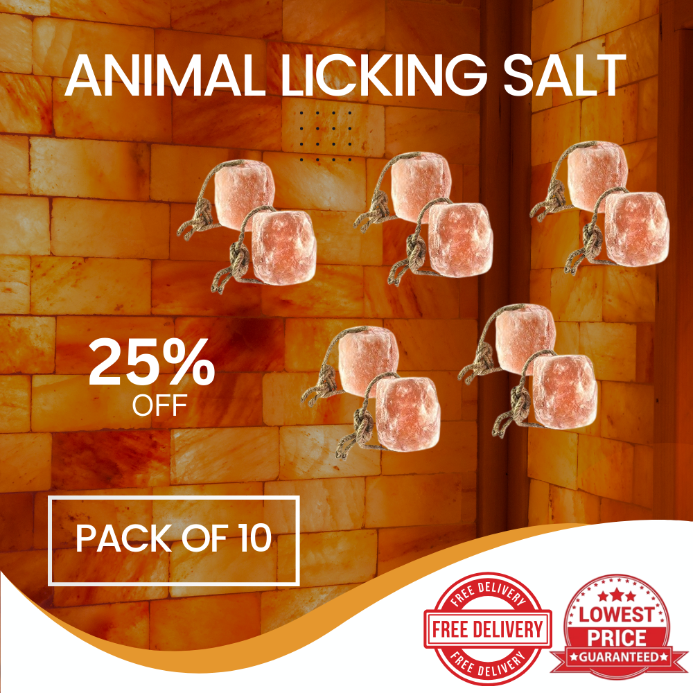 Best Himalayan Animal Licking Salt
