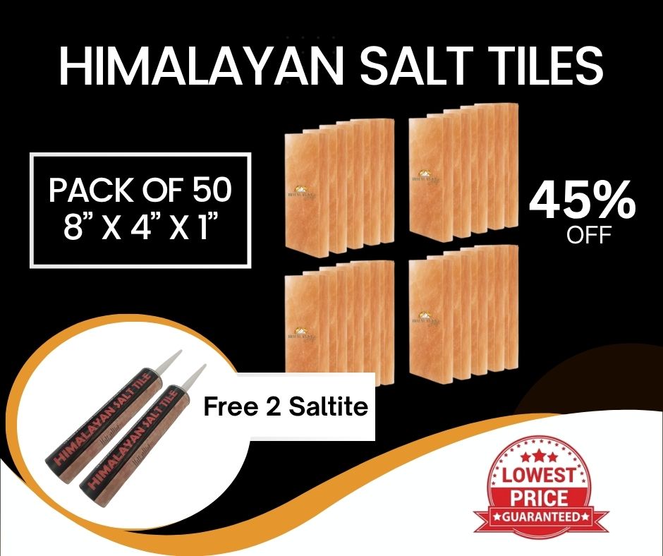 HST Himalayan Salt Tiles 8”x4”X1”