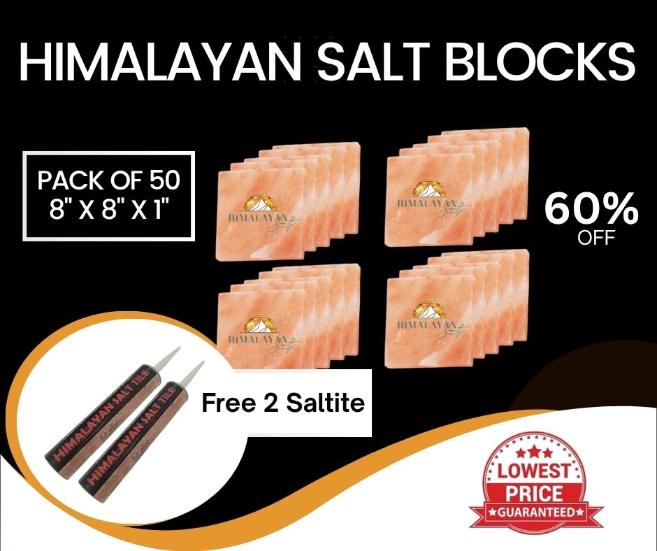 HST Himalayan Salt Blocks 8" x 8" x 1"