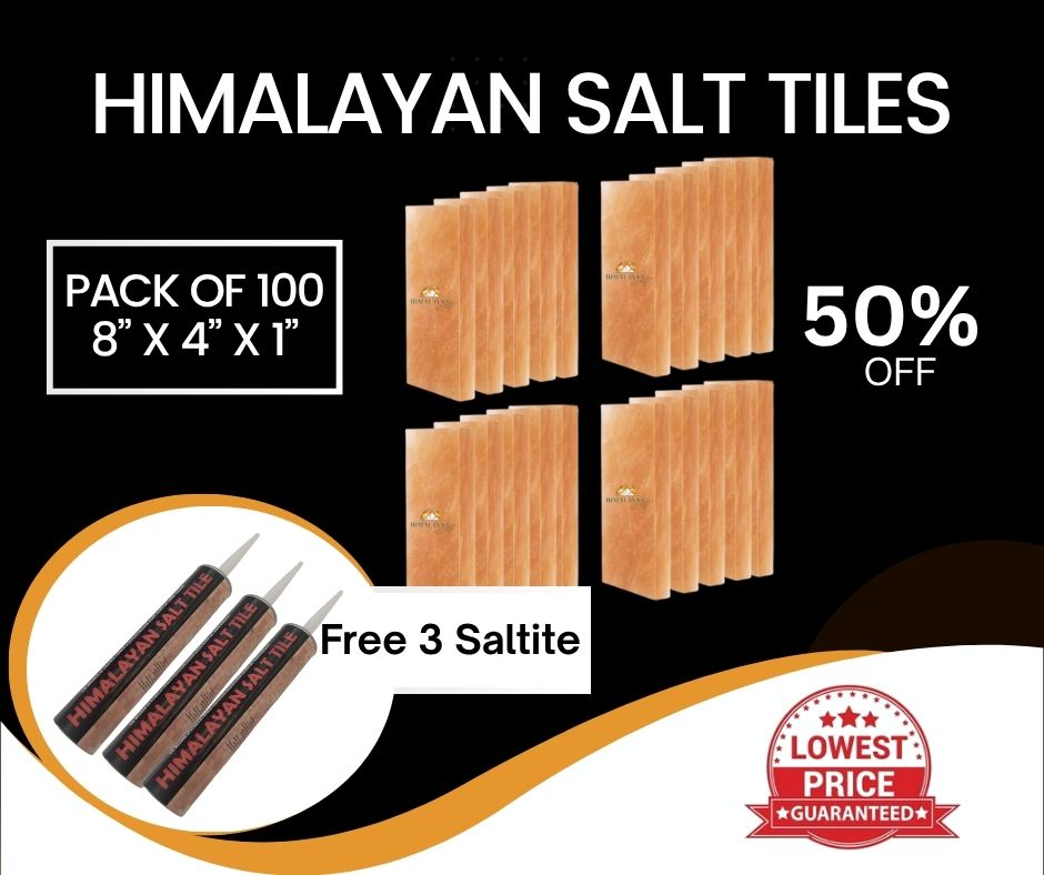 HST Himalayan Salt Tiles 8”x4”X1”