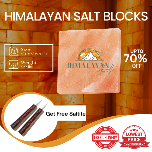 HST Himalayan Salt Blocks 8" x 8" x 1"