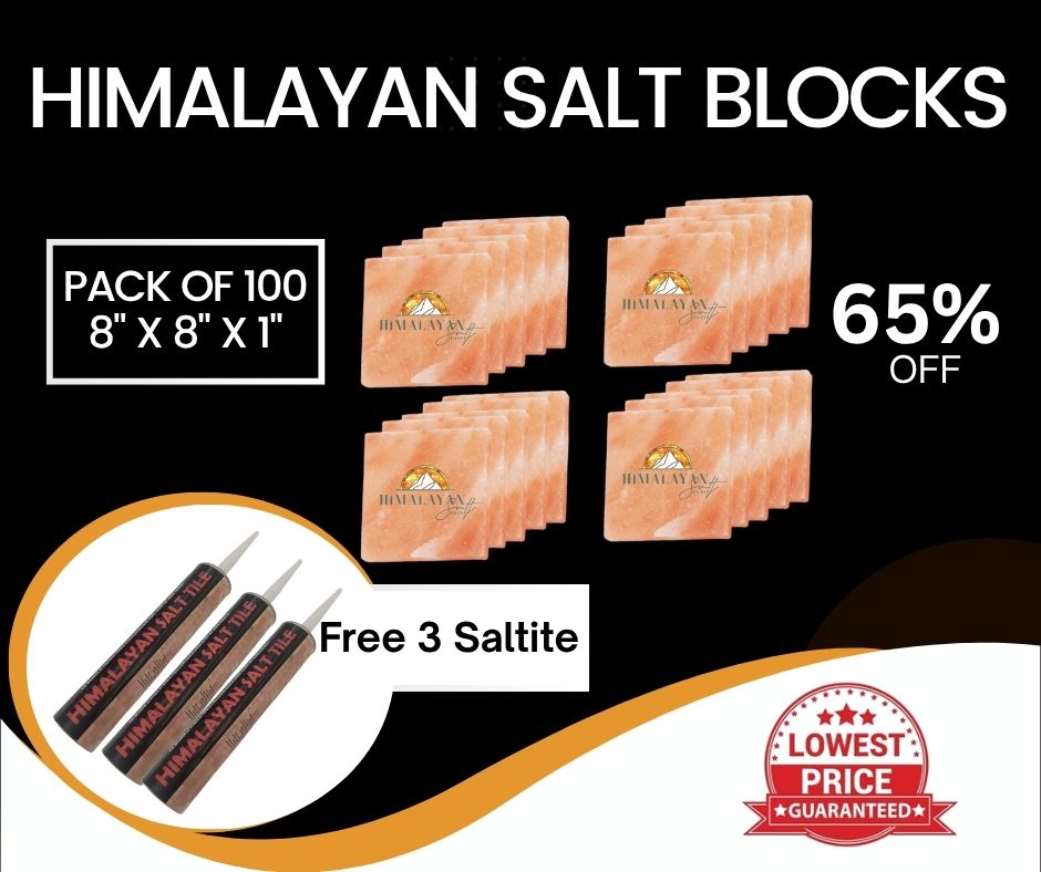 HST Himalayan Salt Blocks 8" x 8" x 1"