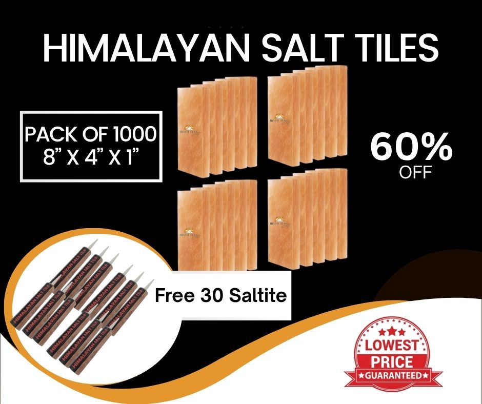 HST Himalayan Salt Tiles 8”x4”X1”
