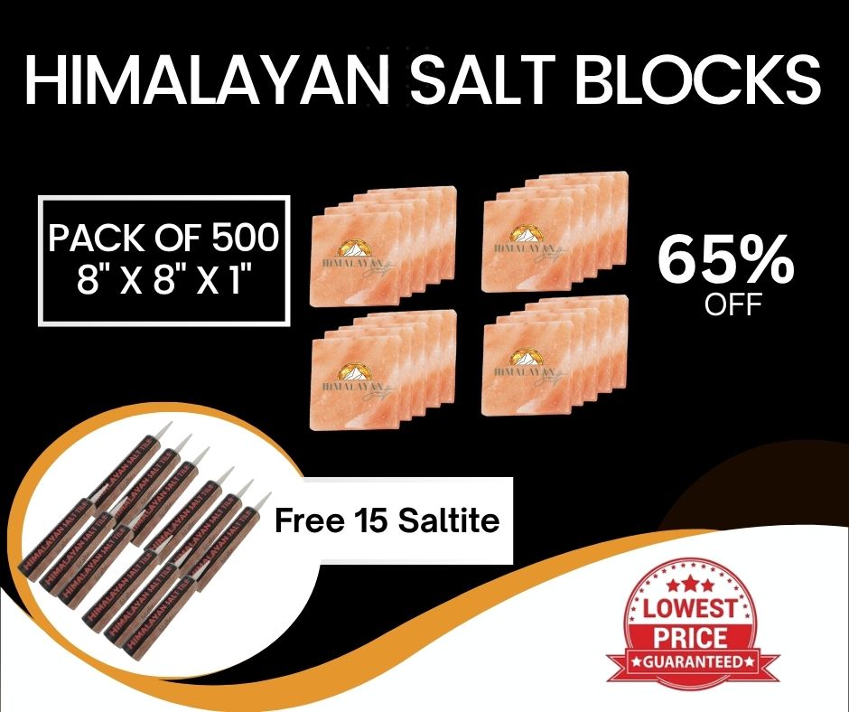 HST Himalayan Salt Blocks 8" x 8" x 1"