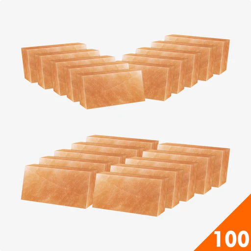 HST Himalayan Salt Bricks 8”X4”X2 Pack of 100 - himalayansalttile.com