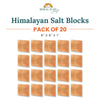 Himalayan Salt Blocks 8" x 8" x 1" - Pack of 20