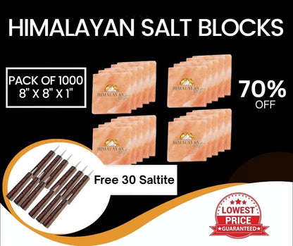 HST Himalayan Salt Blocks 8" x 8" x 1"