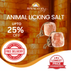 Best Himalayan Animal Licking Salt Pack of 2