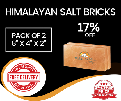 Himalayan Salt Bricks 