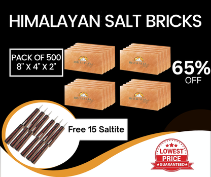 Himalayan Salt Bricks 8”x4”X2