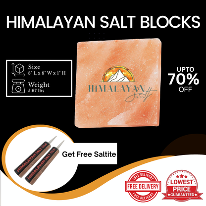 HST Himalayan Salt Blocks 8" x 8" x 1"
