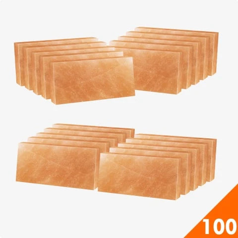 Wholesale Himalayan Salt Tiles 8″ x 4″ x 1″ – Pack 100