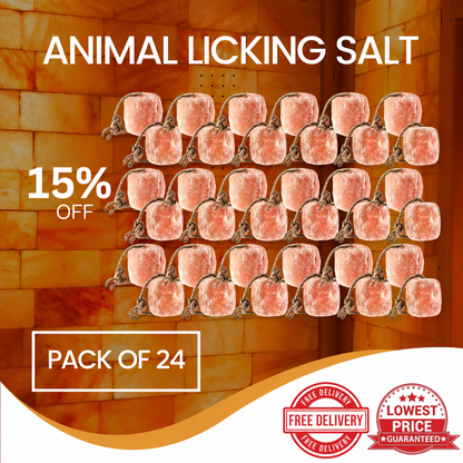 Best Himalayan Animal Licking Salt Pack of 24