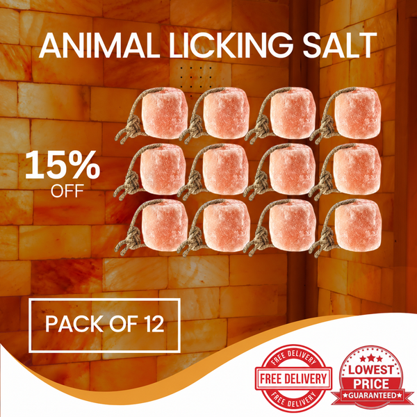 Best Himalayan Animal Licking Salt Pack of 12