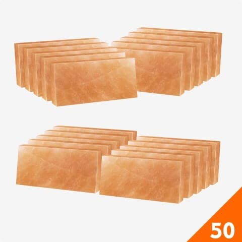 HST Himalayan Salt Tiles 8”x4”X1”