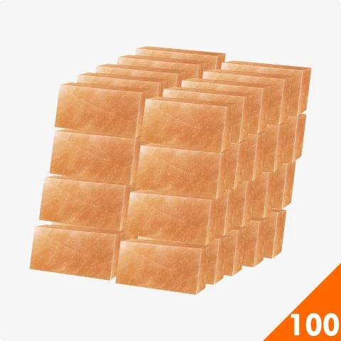 Wholesale Himalayan Pink Salt Bricks 8″ x 4″ x 2″ – Pack 100