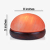 Bulk Salt Detox Dome Lamps – Pack 4 - himalayansalttile.com