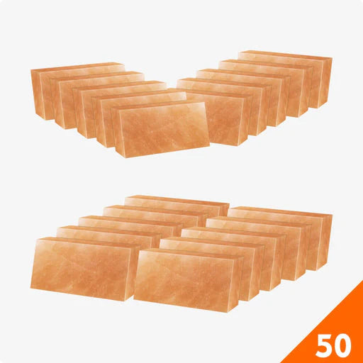 HST Himalayan Salt Bricks 8”X4”X2 Pack of 50